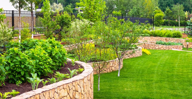 Dryscape Landscaping in Ventura County, CA
