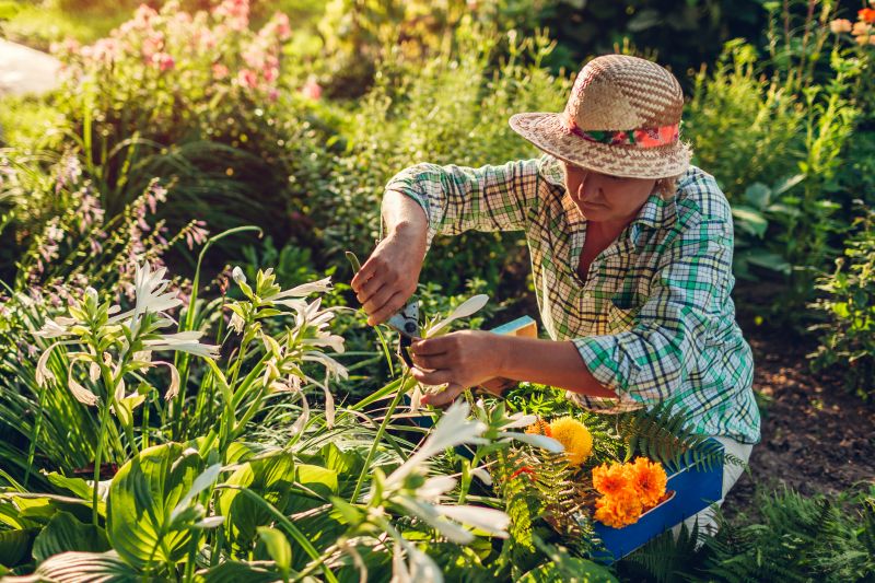 Garden Maintenance Service in Ventura County, CA
