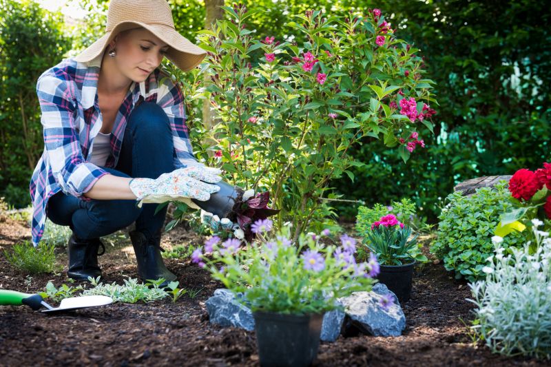 Home Gardening Service in Ventura County, CA