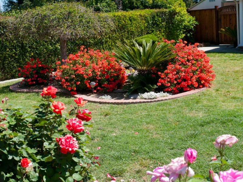Lawn And Garden Installation in Honolulu, HI