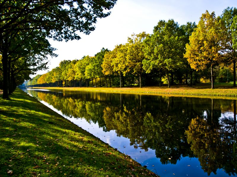 Pond Landscaping Service in Ventura County, CA