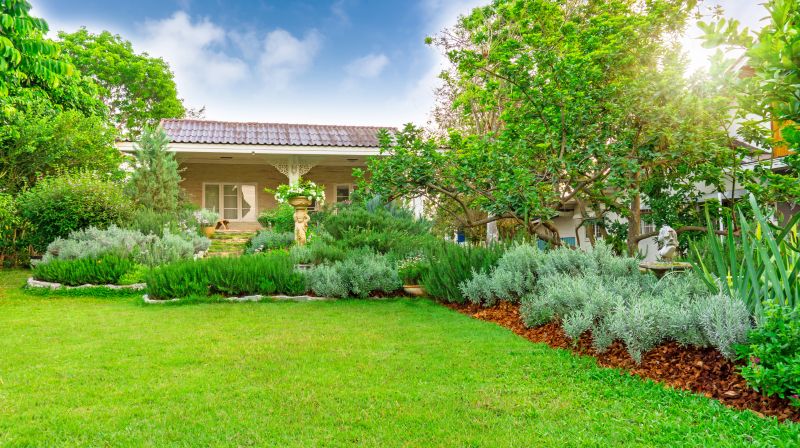 Rose Bush Planting in Ventura County, CA