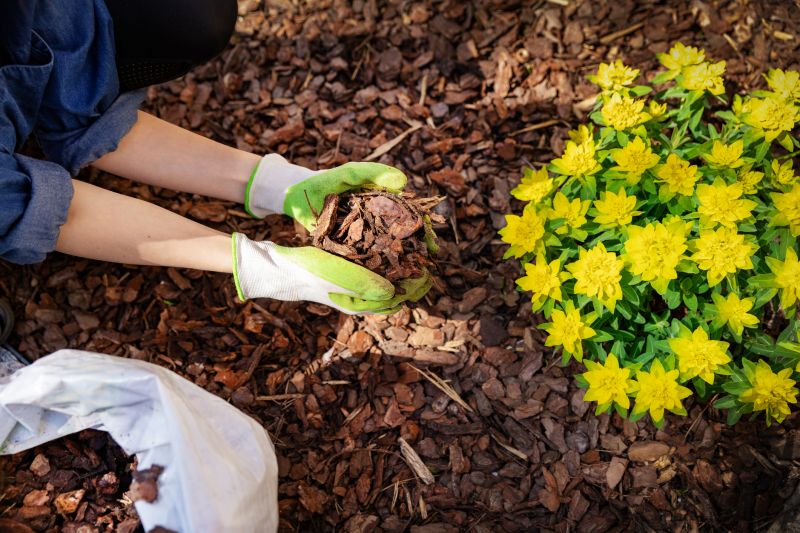 Weeding And Mulching in Honolulu, HI