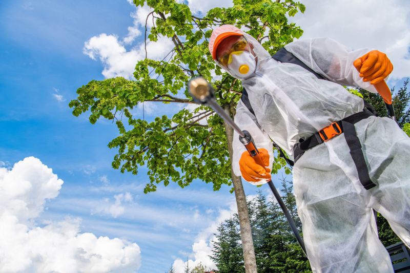 Local Arborist Spraying pros at work