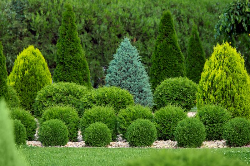 Boxwood Planting in Ventura County, CA